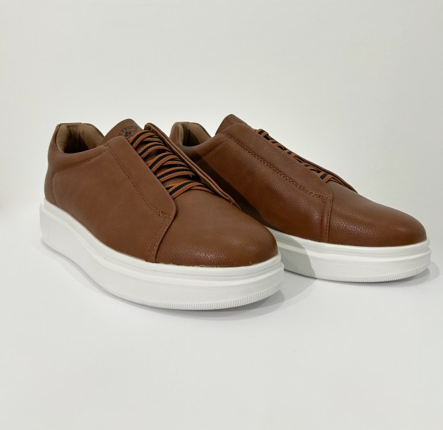 3. Y258 camel